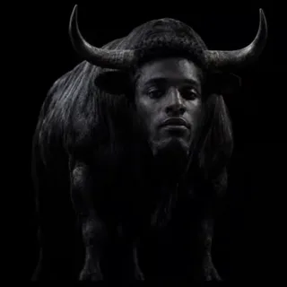 The Black Bull